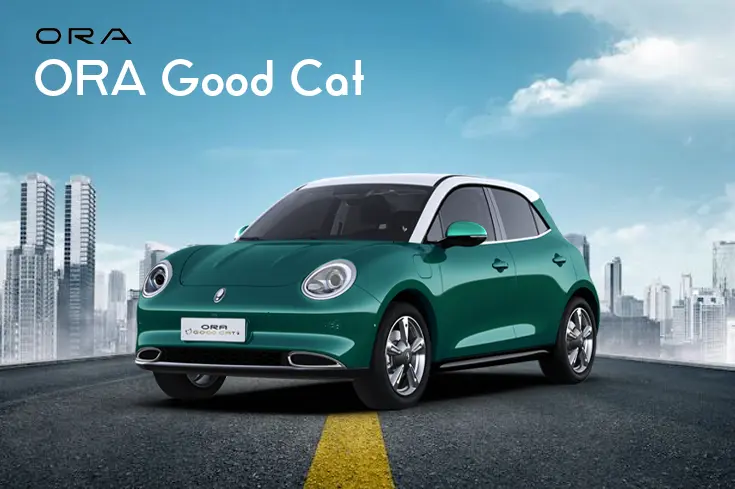 ORA Good Cat